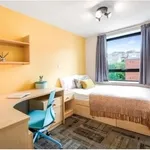 Rent a room in Yorkshire And The Humber