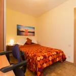 Alquilar 5 dormitorio apartamento en Madrid