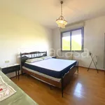 Rent 6 bedroom apartment of 100 m² in Forlì