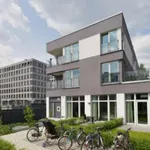 Rent 1 bedroom apartment in berlin