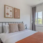 Rent 4 bedroom apartment of 60 m² in Madrid