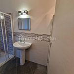 Rent 1 bedroom apartment of 40 m² in Biella