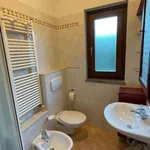 Rent 2 bedroom apartment of 110 m² in florence