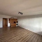 Rent 1 bedroom apartment in Karviná