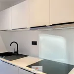 Rent 1 bedroom apartment in Ghent