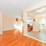 Rent 1 bedroom apartment in NY