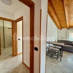 Rent 2 bedroom apartment of 50 m² in Lissone