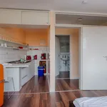 Rent 1 bedroom apartment of 30 m² in Hanover