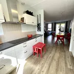 Rent 6 bedroom house of 160 m² in Kastelenbuurt