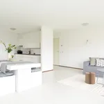 Rent 3 bedroom apartment of 90 m² in Den Haag