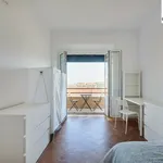 Rent 15 bedroom apartment in Lisbon