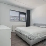 Diabellistraat, Capelle aan den IJssel - Amsterdam Apartments for Rent