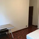 Rent a room in bologna