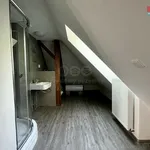 Rent 1 bedroom apartment in Svitavy