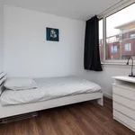 Rent 3 bedroom apartment of 73 m² in Rotterdam