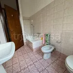 Rent 4 bedroom apartment of 130 m² in Concorezzo