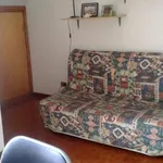 Rent 2 bedroom apartment of 40 m² in Massa