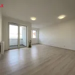 Rent 1 bedroom apartment of 34 m² in plzen