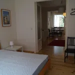 Rent 1 bedroom apartment in Evere