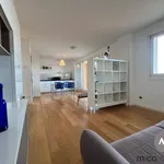 Rent 1 bedroom apartment of 51 m² in Pordenone