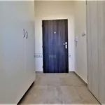 Rent 1 bedroom apartment of 19 m² in Brno