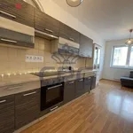 Rent 2 bedroom apartment of 53 m² in Brno-Žebětín