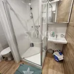 Rent 1 bedroom apartment in Přerov