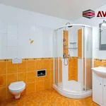 Rent 2 bedroom apartment of 56 m² in Opava