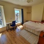 Rent 4 bedroom flat in Wales