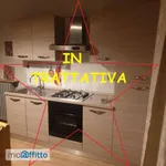 Rent 3 bedroom apartment of 75 m² in Turin