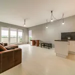 Rent 2 bedroom apartment of 53 m² in Łódź