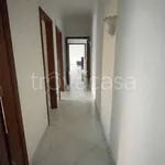 Rent 3 bedroom apartment of 100 m² in Napoli