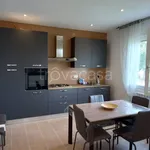 Rent 4 bedroom apartment of 85 m² in Spinea