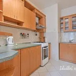 Rent 1 bedroom apartment of 38 m² in Brno