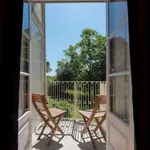 Rent 1 bedroom apartment in porto