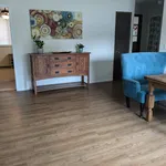 Rent 2 bedroom house in Arvada