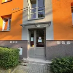 Rent 2 bedroom apartment in Pardubice