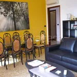 Rent 3 bedroom apartment of 91 m² in Torino