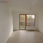 Rent 1 bedroom apartment in Brno