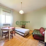 Rent 1 bedroom apartment of 25 m² in Turin