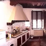 Rent 1 bedroom apartment of 45 m² in Firenze