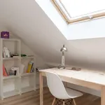 Kamer van 500 m² in brussels