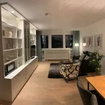 Miete 1 Schlafzimmer wohnung von 60 m² in Frankfurt