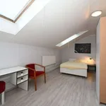 Studio of 34 m² in prague