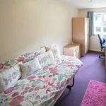 Rent 1 bedroom apartment in Derby