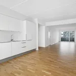 Rent 2 bedroom apartment of 75 m² in København SV