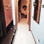 Rent 2 bedroom apartment of 50 m² in Prato