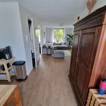 Huur 1 slaapkamer appartement van 52 m² in Haarlem