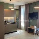 Rent 1 bedroom apartment of 30 m² in Turin