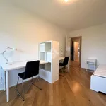 Rent 4 bedroom apartment of 90 m² in Trento